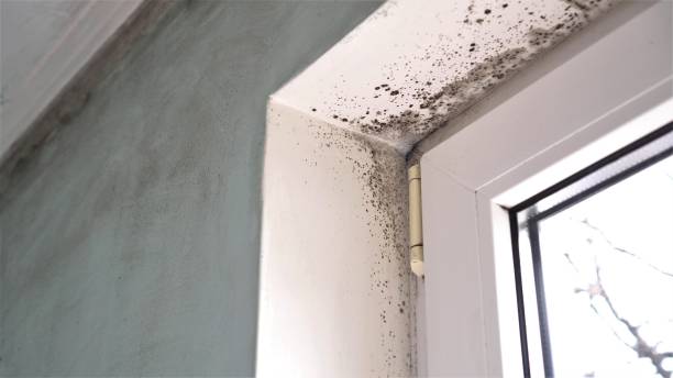 Water Damage Restoration in Harbor, OR