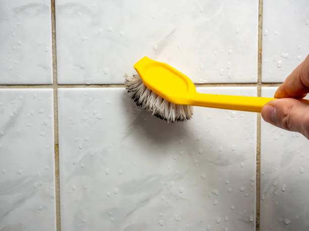 Best Commercial Mold Removal  in Harb, OR