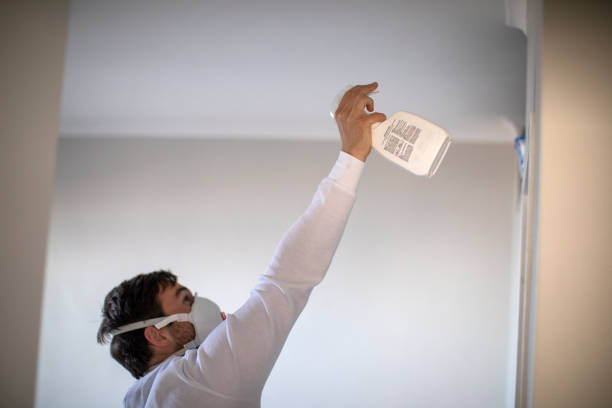 Harbor, OR Mold Removal Company