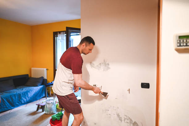 Home Mold Removal in Harbor, OR