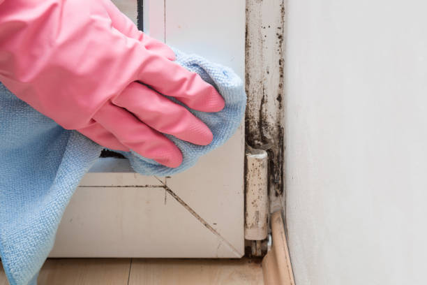  Harb, OR Mold Removal Pros